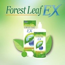 SEED Forest Leaf EX